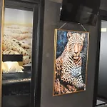 Sahara Chic Lägenhet Reggio di Calabria