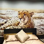 Sahara Chic 公寓 雷焦卡拉布里亚