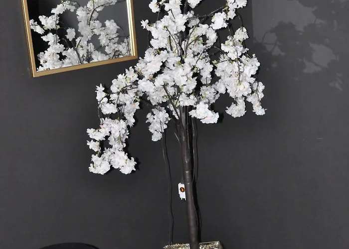 Апартаменты Sahara Chic Реджо-ди-Калабрия